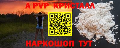 спиды Моздок