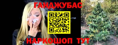 шишки Можайск