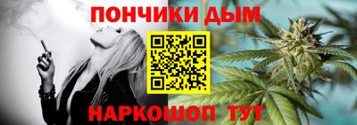 гидра Можга