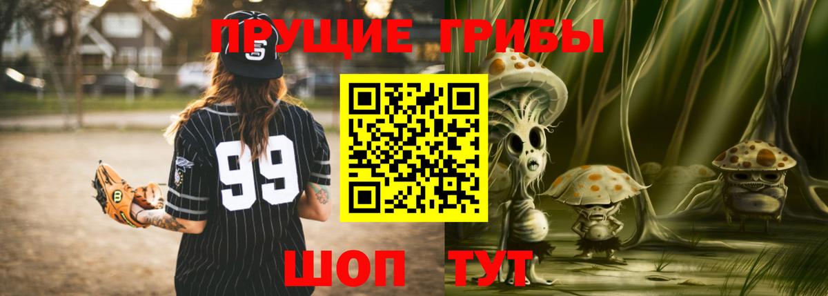 Псилоцибиновые грибы GOLDEN TEACHER  Вход с VPN  наркотики  Губкинский 